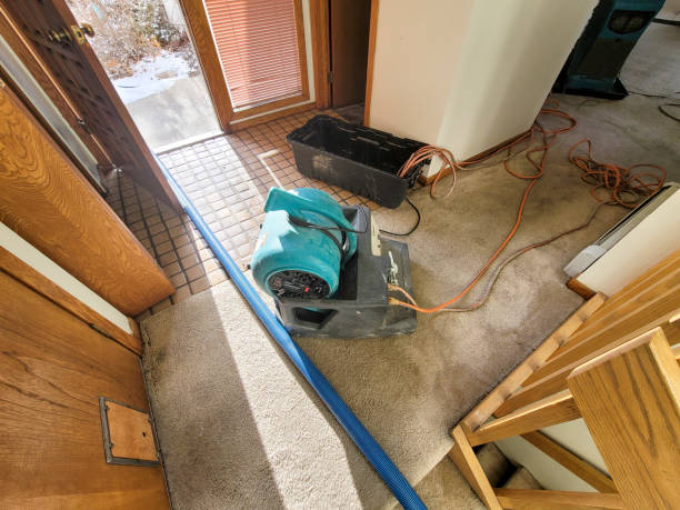 Best Ceiling water damage repair  in Gra Forks Af, ND