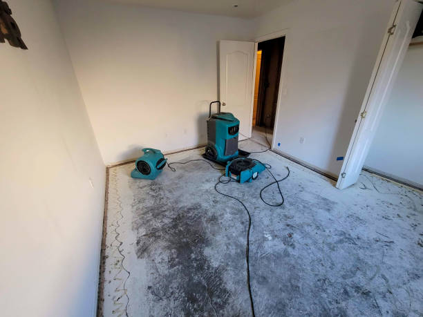 Best Basement water damage restoration  in Gra Forks Af, ND