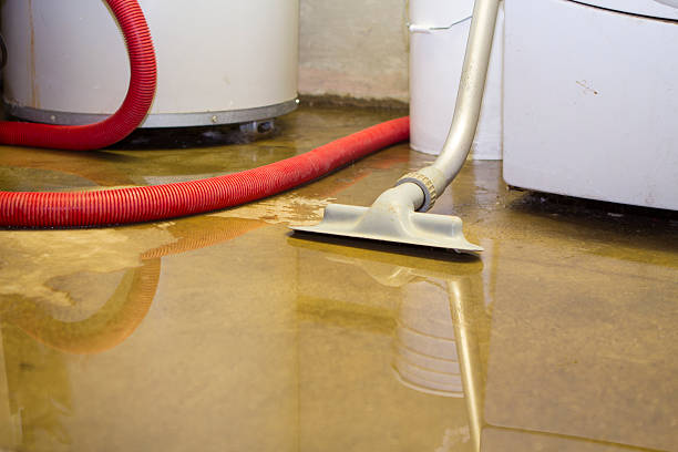 Best Water damage restoration near me  in Gra Forks Af, ND