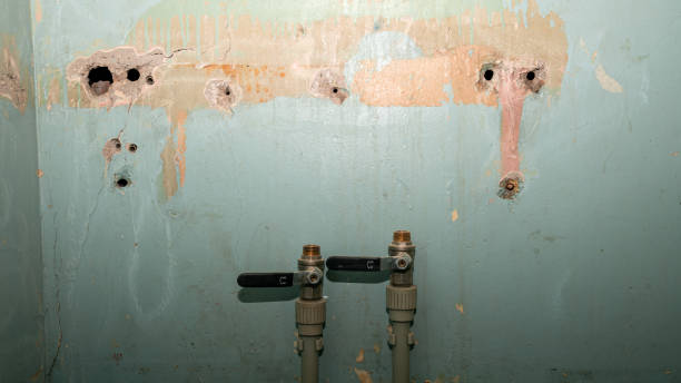 Carpet water damage restoration in ND